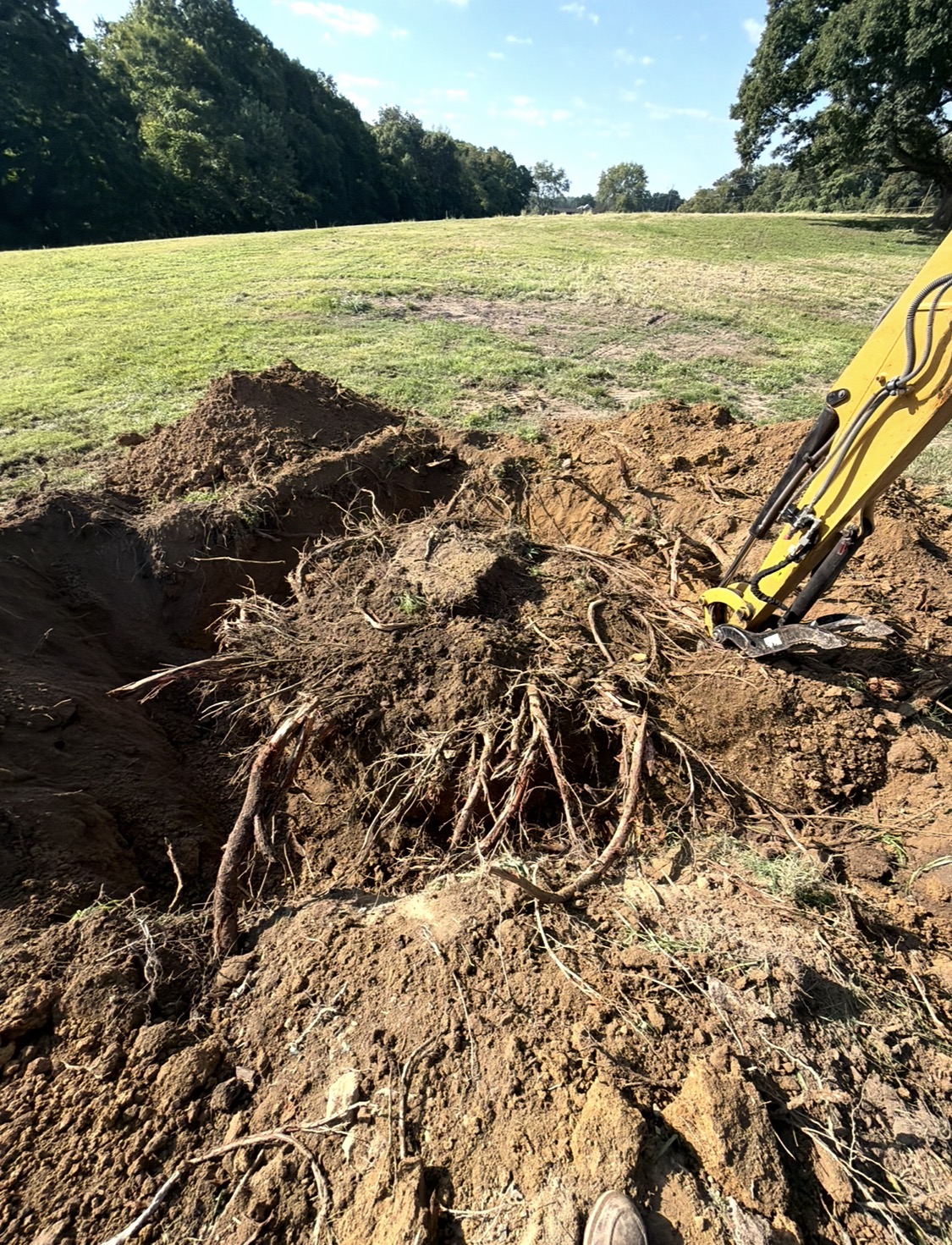 Excavator clearing roots and stumps from opened-up land